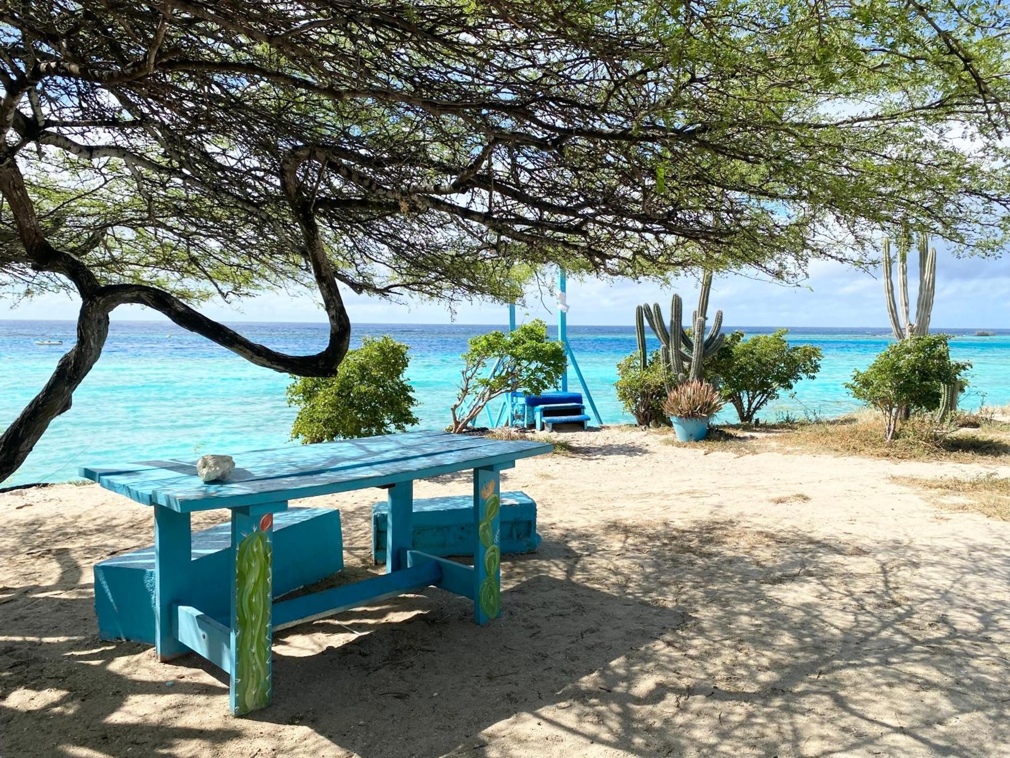 Casa Azure Aruba Villa Palm Beach Ngoại thất bức ảnh